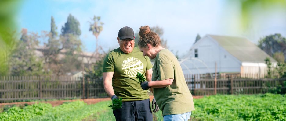 Two people from Veggielution laughing in a field. In the background you can see a wood fence and a barn.