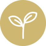 Icon of a Sprout